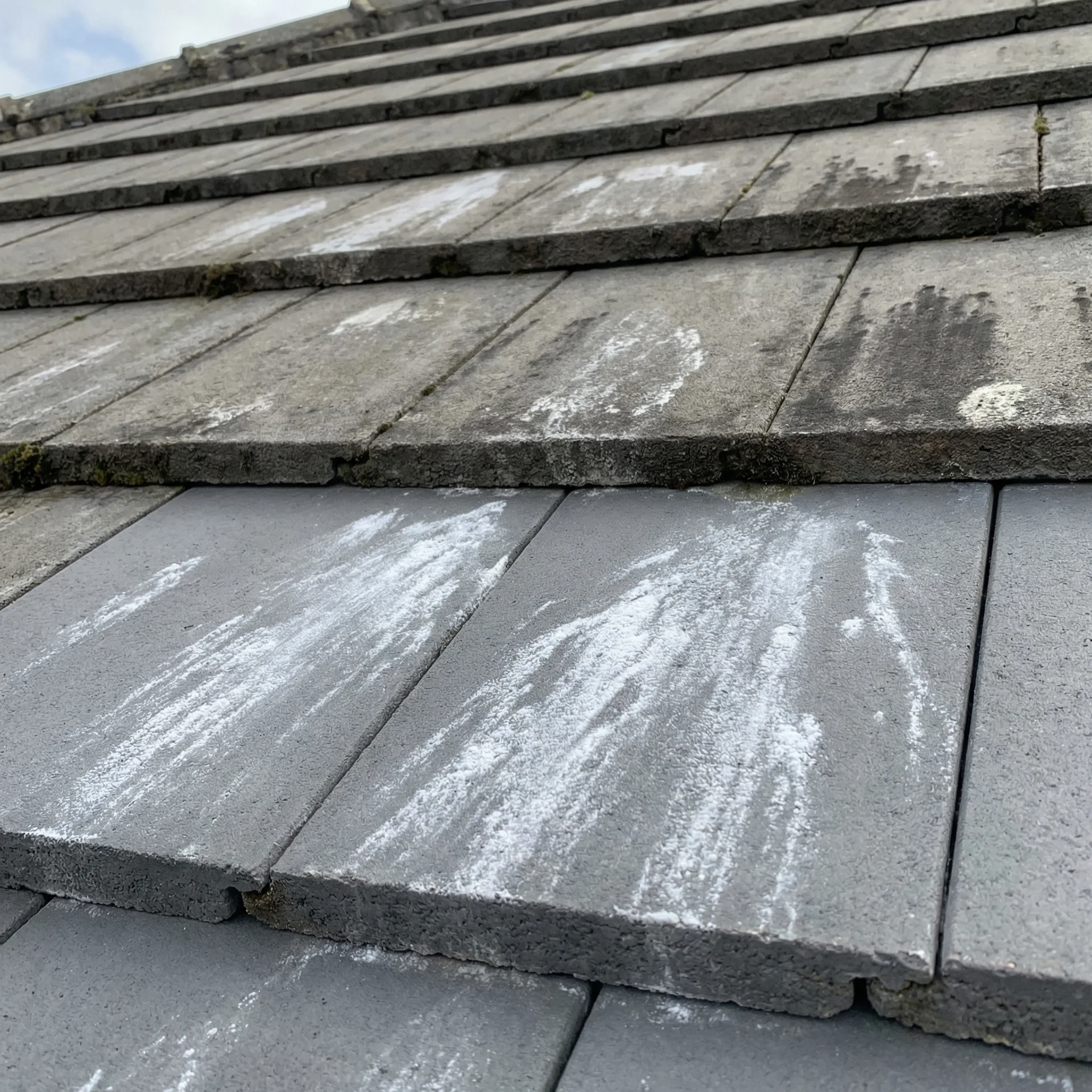 Efflorescence on concrete roof tiles showing white chalky deposits